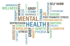 variety of mental health diagnoses